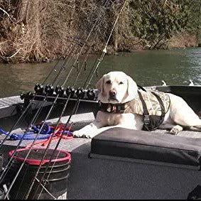 duck retriever fishing pole S & C Rodrac